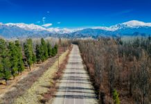 Mendoza seleccionada entre las cinco regiones vitivinícolas más destacadas del mundo