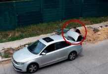 San Miguel: un hombre multado por tirar basura en la calle