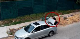 San Miguel: un hombre multado por tirar basura en la calle