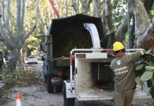 Vicente López: continúa abierta la inscripción al Plan de Poda 2026