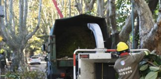 Vicente López: continúa abierta la inscripción al Plan de Poda 2026