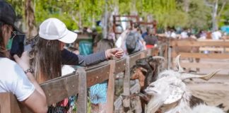 Finde en Escobar: Garín Corre, la Granja Don Benito y el Parque Aéreo Aventura son los eventos destacados