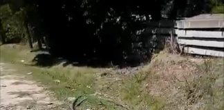 Limpiaron un basural en Maschwitz y a los cuatro días ya había uno peor