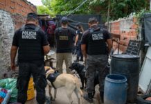 Allanamientos en Garín: desarticulan un punto de venta de droga y secuestran más de 400 dosis de cocaína