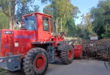 Cronograma del sistema de recolección de ramas para esta semana en Loma Verde y Maquinista Savio