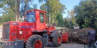 Cronograma del sistema de recolección de ramas para esta semana en Loma Verde y Maquinista Savio