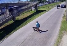 Creaba un microbasural, lo registró una cámara y en menos de una hora fue sancionado