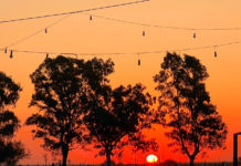 Tres horizontes y una memoria: viaje por Isla Martín García, La Niña y Beruti