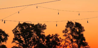 Tres horizontes y una memoria: viaje por Isla Martín García, La Niña y Beruti