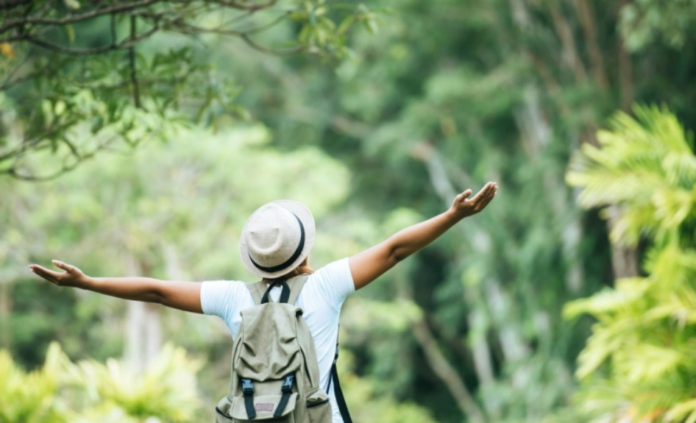 Captura de pantalla 2026-04-05 214805