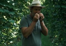 IPA DAY ARGENTO: “La industria de cerveza artesanal apuesta por una estrategia de crecimiento nacional”