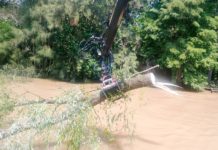 Gestión municipal: continúan las obras de infraestructura en el Delta de Tigre