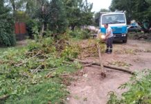 Más de 1500 agentes municipales trabajan en las calles tras el temporal