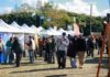 Más de 18.000 personas transformaron a Expo Mate 2026 en una gran fiesta patria