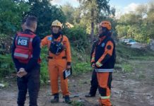 El Cuerpo de Bomberos de la Ciudad certificó a la can Kaia en la especialidad de Búsqueda de Personas Vivas en Grandes Áreas