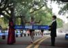 Fiestas Mayas: más de 15 mil corredores en la histórica carrera de la Patria en Palermo