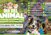 El sábado, San Fernando festejará el Día del Animal con muchas actividades