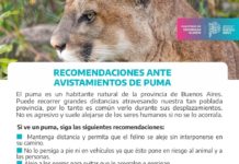 La Dirección de Flora y Fauna de Provincia activó un protocolo de prevención por el puma avistado en El Cazador