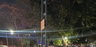 Murió la periodista Ernestina Pais: su auto fue arrollado por un tren en San Isidro