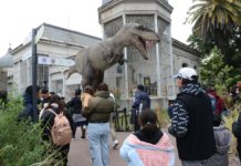 Ecoparque: cobrarán entrada a turistas, pero el ingreso seguirá siendo gratuito para los porteños