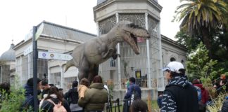 Ecoparque: cobrarán entrada a turistas, pero el ingreso seguirá siendo gratuito para los porteños