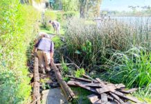 Continúan las obras de mantenimiento y mejoras de infraestructura en el Delta de Tigre