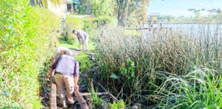 Continúan las obras de mantenimiento y mejoras de infraestructura en el Delta de Tigre
