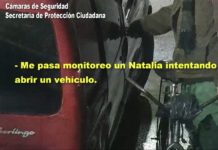 Un malviviente fue detenido por el COT luego de intentar robar un vehículo en Troncos del Talar
