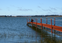 El invierno tiene su mejor pique en las lagunas bonaerenses