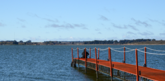 El invierno tiene su mejor pique en las lagunas bonaerenses