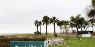 Comienzan obras estructurales en Puerto Libre