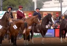 Qué hacer este fin de semana: del 24 al 26 de julio