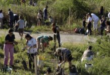 San Miguel celebrará la 124° Fiesta del Árbol en la Reserva Natural Urbana “El Corredor”