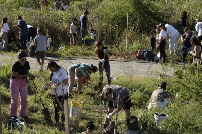 Plantación colectiva en la reserva