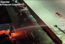 Incendio de gran magnitud en Don Torcuato y rápida asistencia del Sistema de Protección Ciudadana de Tigre