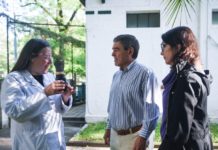 La Ciudad lanza la campaña de prevención contra el dengue