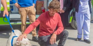 San Fernando prohibió a los criaderos de mascotas y la venta de animales en comercios