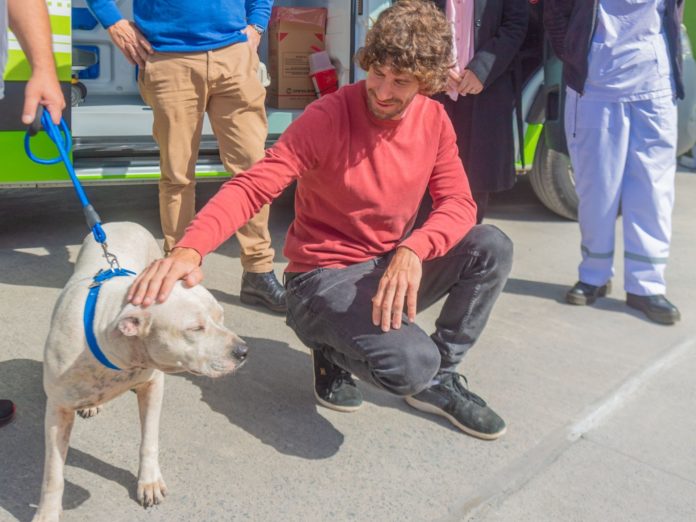 1 san fernando contra la venta de animales ago2026