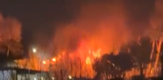 Un voraz incendio afectó al Club Náutico de Olivos: fue controlado y no se reportaron heridos