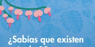 Existen más de 20 Infecciones de Transmisión Sexual: la importancia de reforzar la prevención entre los jóvenes
