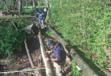 Se profundizan las obras y tareas de mantenimiento en distintos puntos del Delta de Tigre