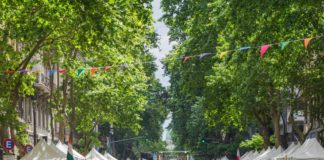 Una feria gigante para celebrar a 50 colectividades en la Avenida de Mayo