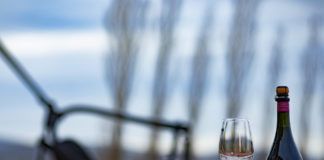 ENOTURISMO Y OLEOTURISMO: eventos durante septiembre