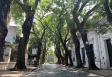 Mes del Turismo: una programación especial de visitas guiadas para conocer la diversidad de propuestas que ofrece San Isidro