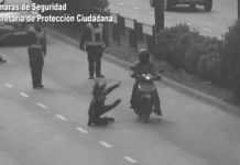 Atropelló a un efectivo de la Policía, se dio a la fuga y fue detenida: manejaba bajo los efectos del alcohol y las drogas