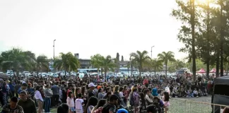 Más de 600 instituciones participaron de la 3º edición de la Expo Municipal de ONG´s en Malvinas Argentinas