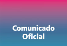Consejo de Empleo Municipal: se solicitó información a los 135 municipios