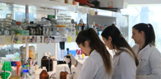 Salud lanza convocatoria para profesionales de hospitales bonaerenses