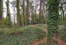 Pinar del Norte en Villa Gesell: un plan diferente