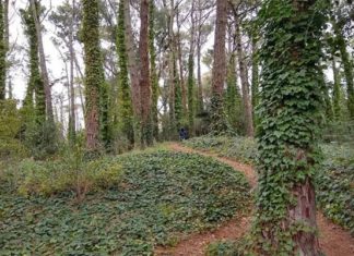 Pinar del Norte en Villa Gesell: un plan diferente